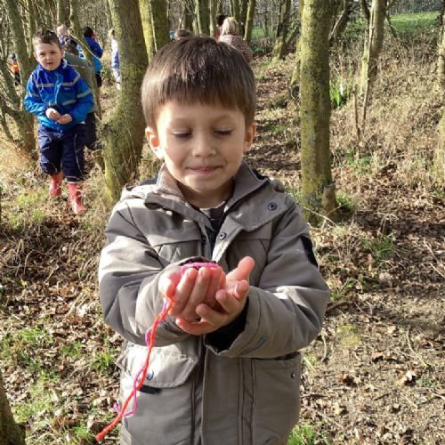 Forest School - Week 2