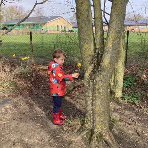 Forest School - Week 4