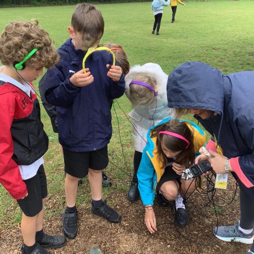 Year 5 Jubliant Project