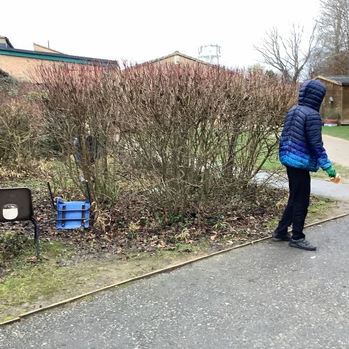 Eco Sustainability Project